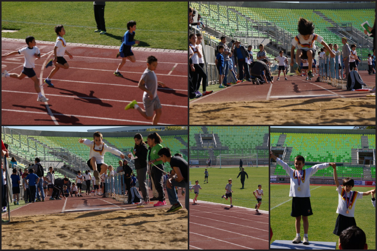 1Campeonatos TRITLON e Individual Categoría Cachorro Peneca 1