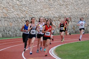 damas-800-mts-d