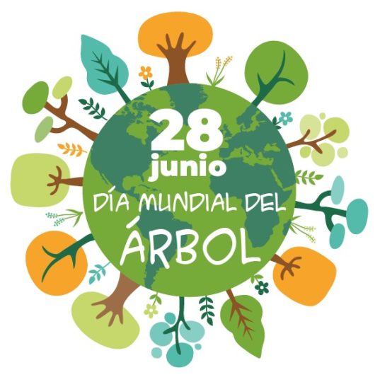 28 de junio – Día Mundial del Árbol | Colegio Alemán de Valparaíso