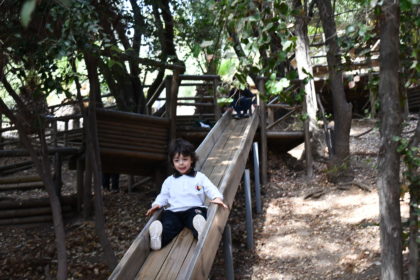 Tobogán Bosque